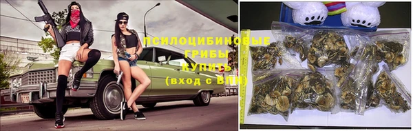 ECSTASY Володарск