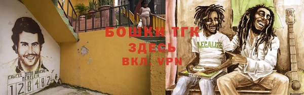 спиды Волосово